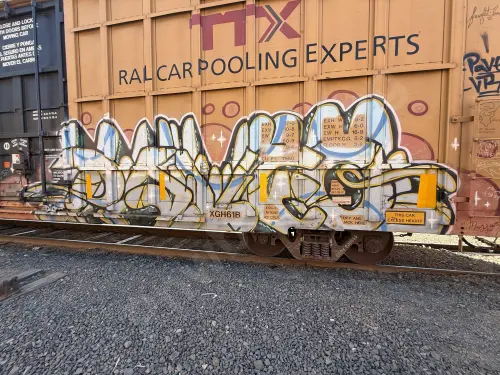 TBOX638559