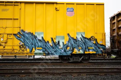UP701491