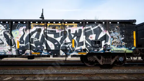 GNTX295208