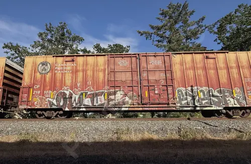 CP218107