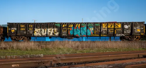 GNTX295157