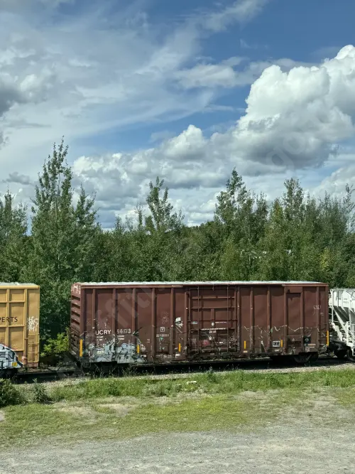UCRY86173