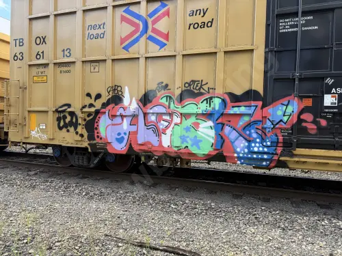 TBOX636113
