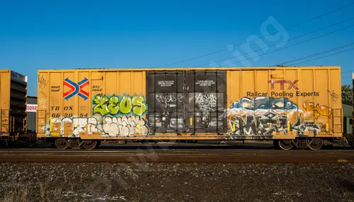 TBOX663054