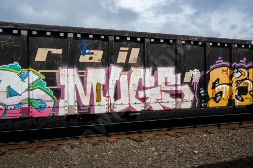 GNTX290145