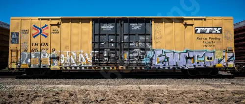 TBOX665079