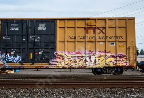 TBOX635776