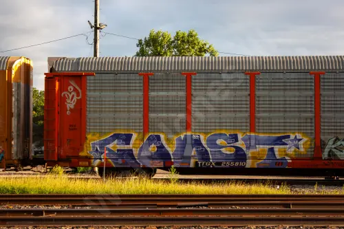 TTGX255810