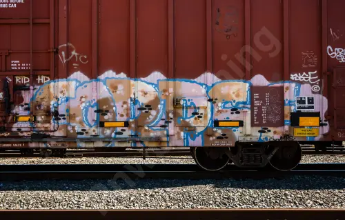 TBOX889512