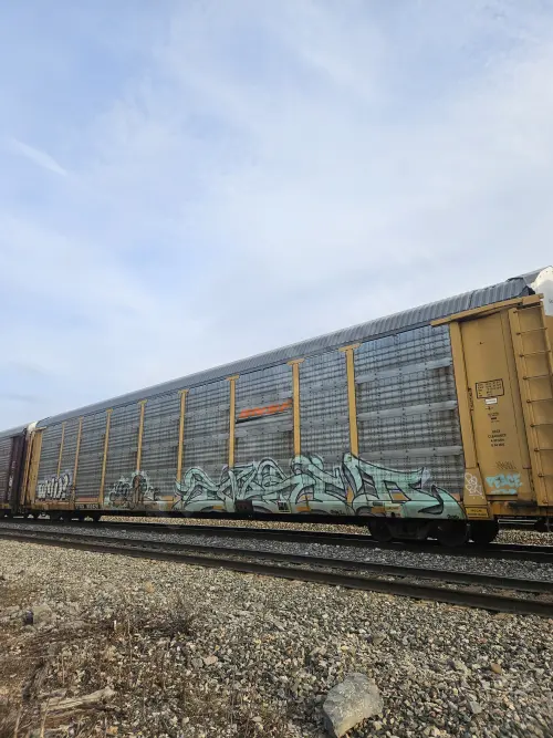 Train photo