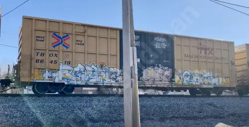 TBOX664519