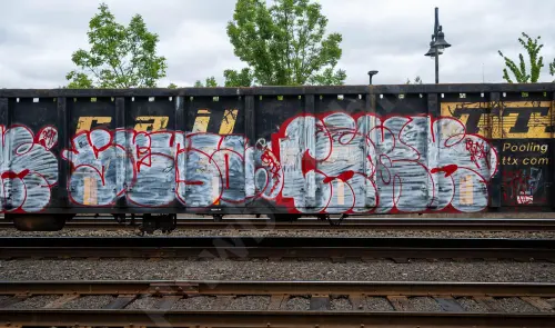 GNTX297154
