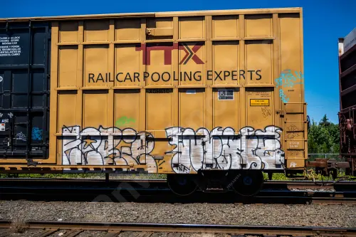 TBOX631808