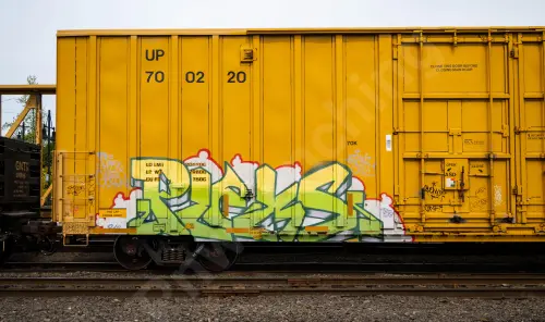 UP700220