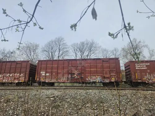 Train photo