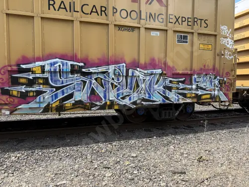 TBOX636113