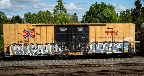 TBOX668281