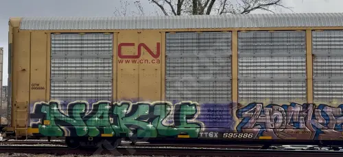 TTGX695886