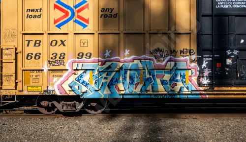 TBOX663899