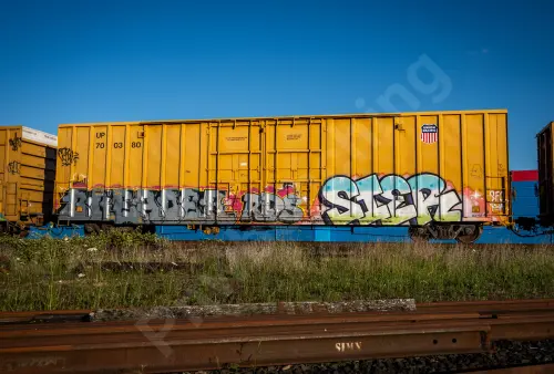 UP700380