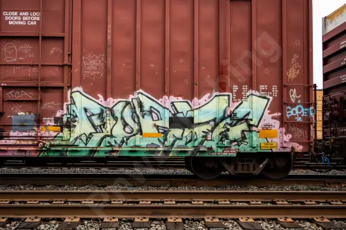 IBT19215