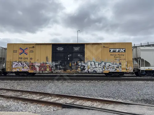 TBOX666813