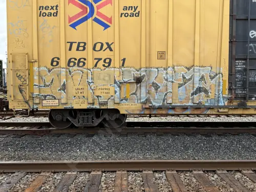 TBOX666791