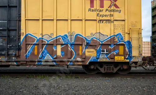 FBOX502536