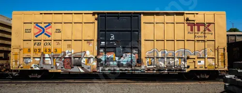 FBOX502433