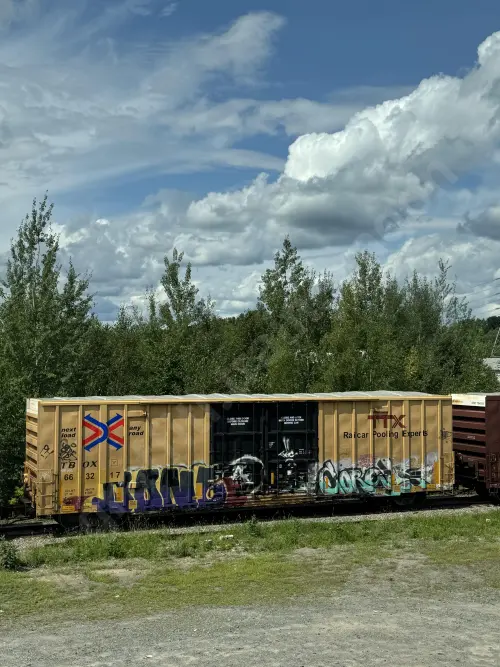 TBOX663217