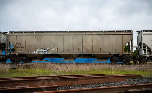 Train photo