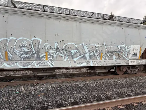 NDYX843553