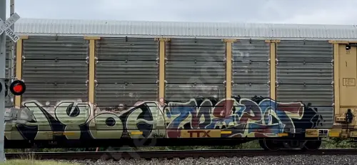 TTGX255012