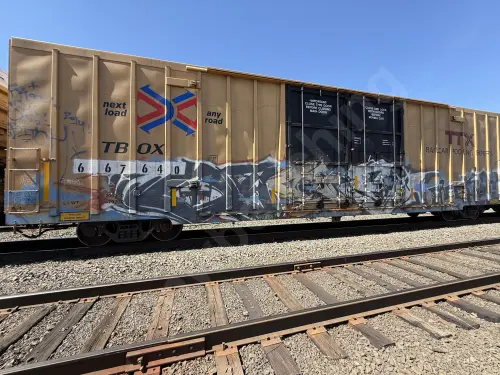 TBOX667640