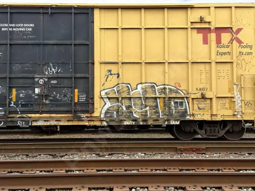 FBOX504384