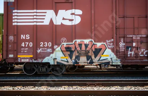 NS470230