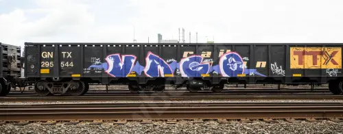 GNTX295544
