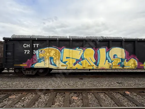 CHTT723250