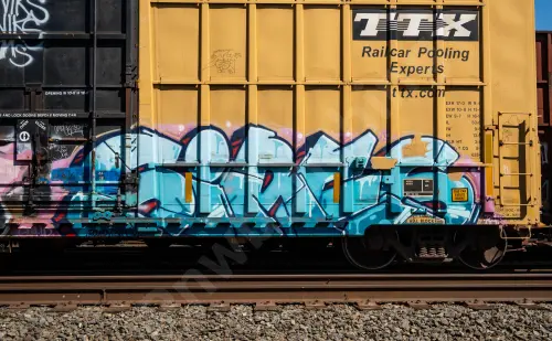 FBOX502159