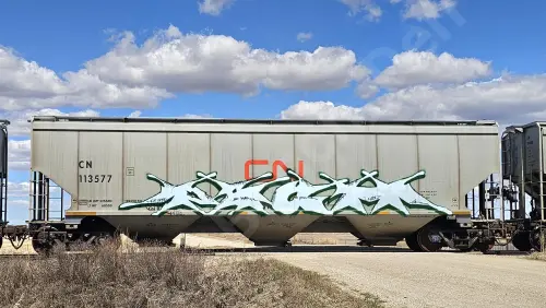 Train photo