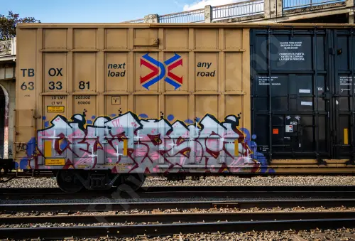 TBOX633381