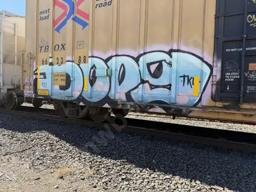 TBOX662388