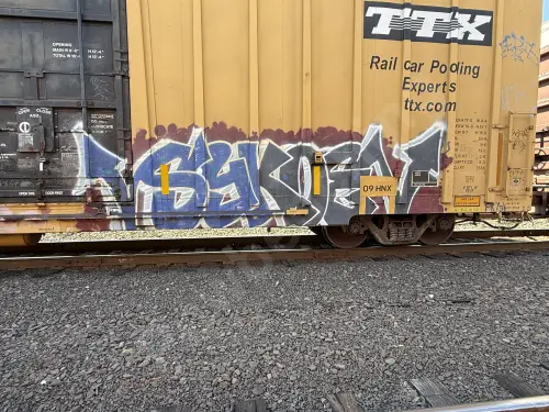 TBOX666042