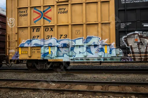 TBOX673173