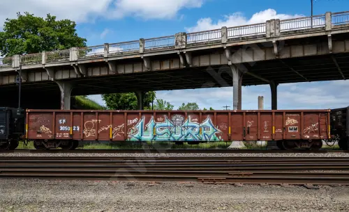 SP365023