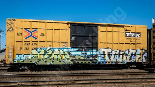 FBOX502065