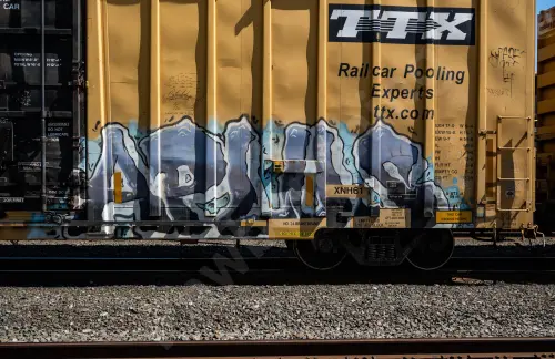 TBOX666042