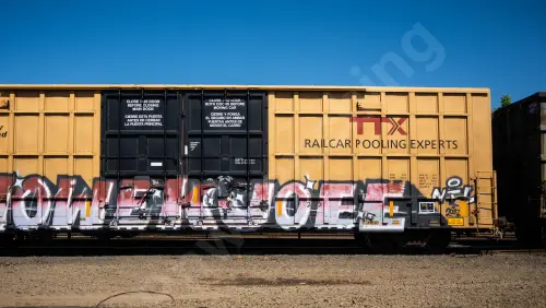 TBOX638255