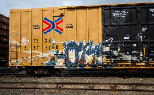 TBOX667810