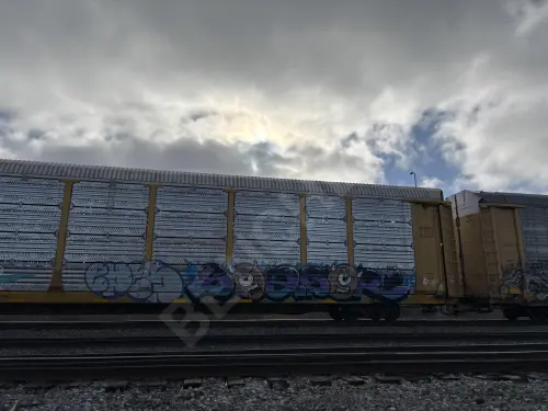 TTGX983085